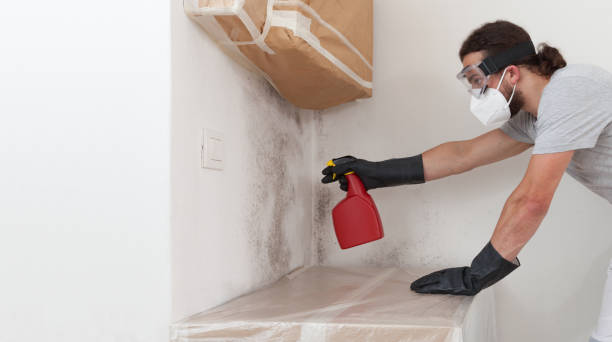 Professional Mold Remediation technician working in Somerset, TX