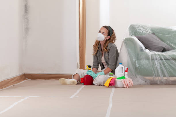 Reliable Mold Remediation contractor in Somerset, TX by WQB Mold Removal
